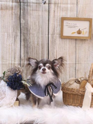 20241011空太くん